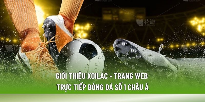 Giới thiệu Xoilac mang đến cái nhìn tổng quan về website trực tiếp bóng đá hàng đầu